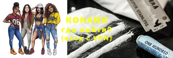 амф Верхний Тагил