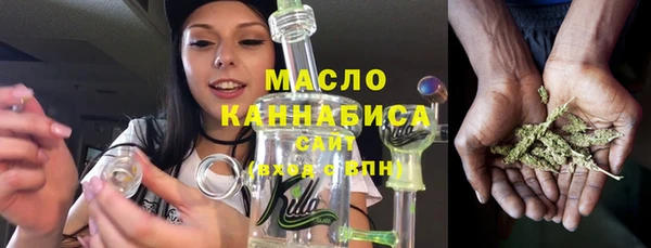 амф Верхний Тагил