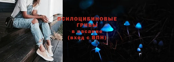 амф Верхний Тагил