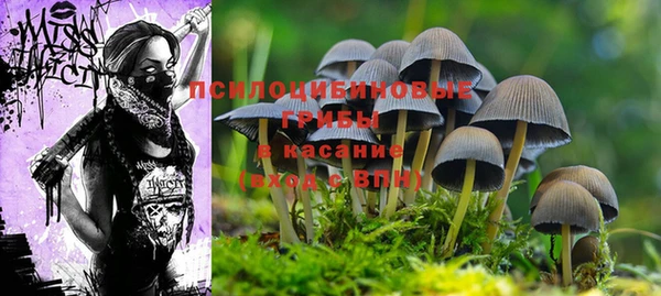 мескалин Верхнеуральск
