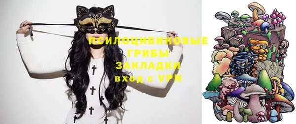 амф Верхний Тагил