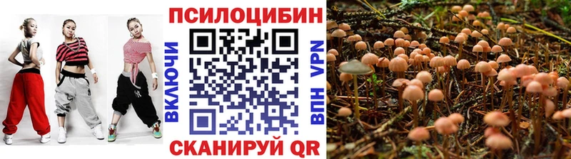 Псилоцибиновые грибы прущие грибы  Купить где  Краснозаводск 